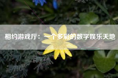 相约游戏厅：一个多彩的数字娱乐天地