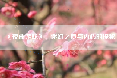 《夜曲游戏》：迷幻之境与内心的探秘