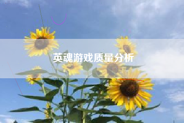 英魂游戏质量分析