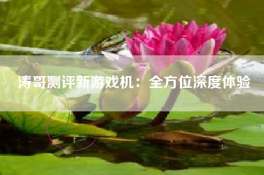 涛哥测评新游戏机：全方位深度体验