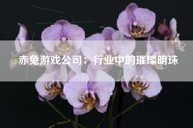 赤兔游戏公司：行业中的璀璨明珠