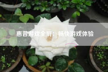 惠普游戏全屏：畅快游戏体验