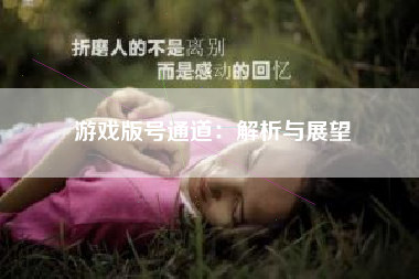 游戏版号通道：解析与展望