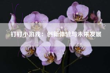 钉钉小游戏：创新体验与未来发展