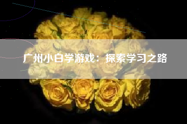广州小白学游戏：探索学习之路