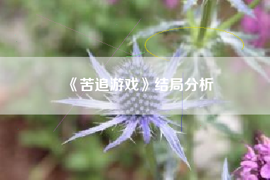 《苦追游戏》结局分析