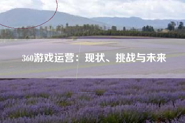 360游戏运营：现状、挑战与未来