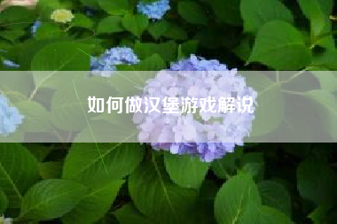 如何做汉堡游戏解说