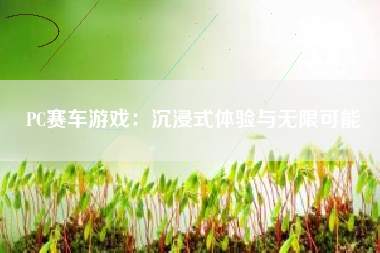 PC赛车游戏：沉浸式体验与无限可能