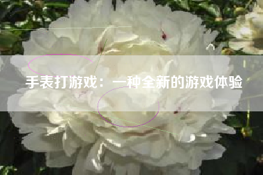 手表打游戏：一种全新的游戏体验