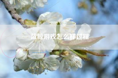 蓝鲸游戏怎么样过程