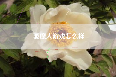 驱魔人游戏怎么样