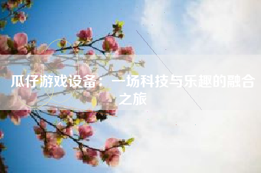 瓜仔游戏设备：一场科技与乐趣的融合之旅