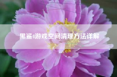 黑鲨4游戏空间清理方法详解
