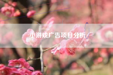 小游戏广告项目分析