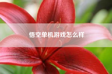 悟空单机游戏怎么样
