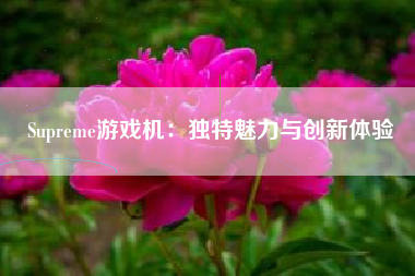 Supreme游戏机：独特魅力与创新体验