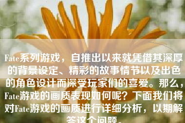 Fate系列游戏，自推出以来就凭借其深厚的背景设定、精彩的故事情节以及出色的角色设计而深受玩家们的喜爱。那么，Fate游戏的画质表现如何呢？下面我们将对Fate游戏的画质进行详细分析，以期解答这个问题。