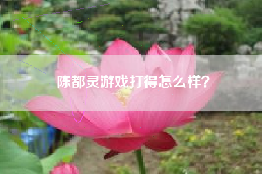 陈都灵游戏打得怎么样？