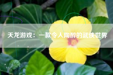 天龙游戏：一款令人陶醉的武侠世界