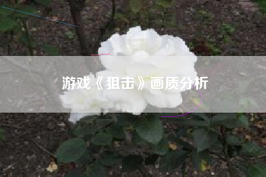 游戏《狙击》画质分析