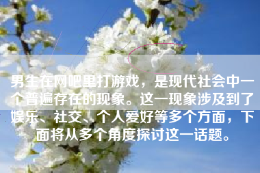 男生在网吧里打游戏，是现代社会中一个普遍存在的现象。这一现象涉及到了娱乐、社交、个人爱好等多个方面，下面将从多个角度探讨这一话题。