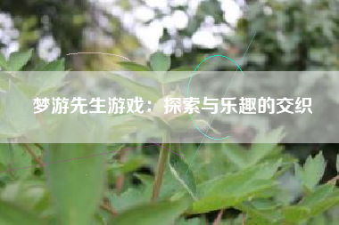 梦游先生游戏：探索与乐趣的交织