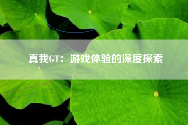 真我GT：游戏体验的深度探索