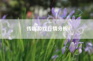 传媒游戏行情分析