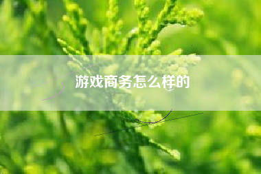 游戏商务怎么样的