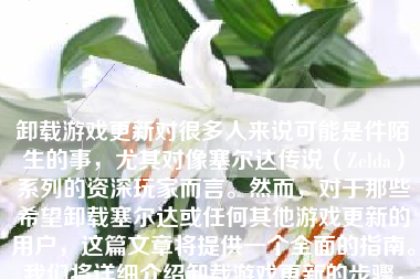 卸载游戏更新对很多人来说可能是件陌生的事，尤其对像塞尔达传说（Zelda）系列的资深玩家而言。然而，对于那些希望卸载塞尔达或任何其他游戏更新的用户，这篇文章将提供一个全面的指南。我们将详细介绍卸载游戏更新的步骤，并探讨一些与这个过程相关的其他问题。