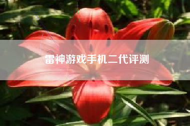雷神游戏手机二代评测