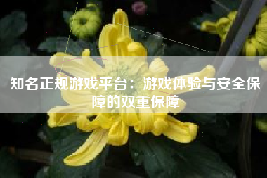 知名正规游戏平台：游戏体验与安全保障的双重保障