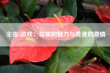 尘埃3游戏：驾驶的魅力与竞速的激情