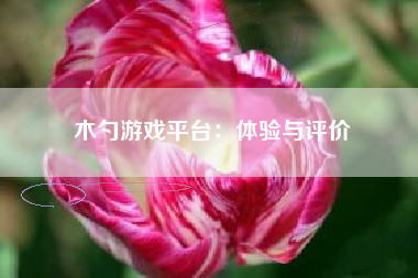 木勺游戏平台：体验与评价