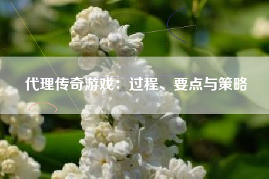 代理传奇游戏：过程、要点与策略