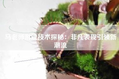 马老师游戏技术探秘：非凡表现引领新潮流