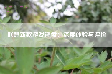 联想新款游戏键盘：深度体验与评价