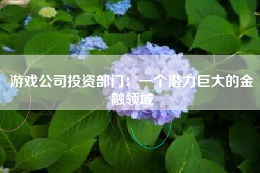 游戏公司投资部门：一个潜力巨大的金融领域