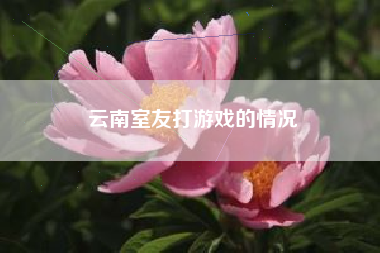 云南室友打游戏的情况