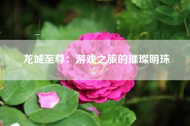 龙城至尊：游戏之旅的璀璨明珠