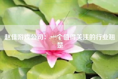 赵佳游戏公司：一个值得关注的行业翘楚