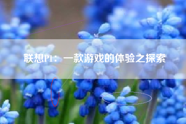 联想P1：一款游戏的体验之探索