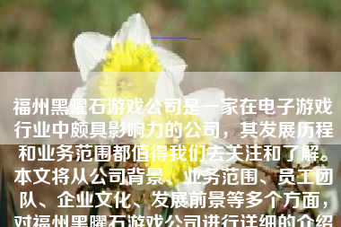 福州黑曜石游戏公司是一家在电子游戏行业中颇具影响力的公司，其发展历程和业务范围都值得我们去关注和了解。本文将从公司背景、业务范围、员工团队、企业文化、发展前景等多个方面，对福州黑曜石游戏公司进行详细的介绍和评价。