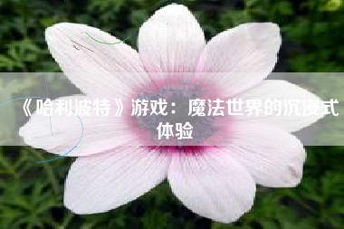 《哈利波特》游戏：魔法世界的沉浸式体验