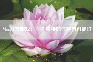 Mac开发游戏：一个独特的体验与可能性