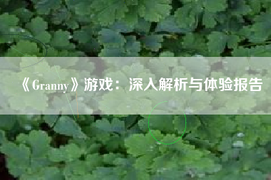 《Granny》游戏：深入解析与体验报告