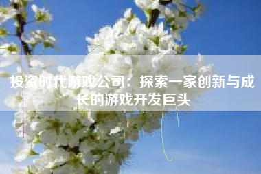投资时代游戏公司：探索一家创新与成长的游戏开发巨头