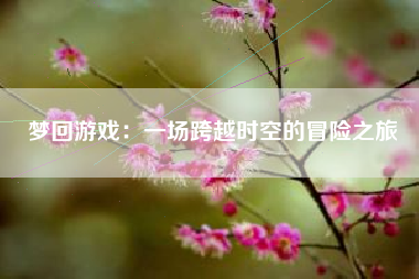 梦回游戏：一场跨越时空的冒险之旅