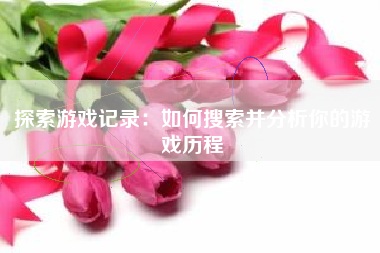 探索游戏记录：如何搜索并分析你的游戏历程